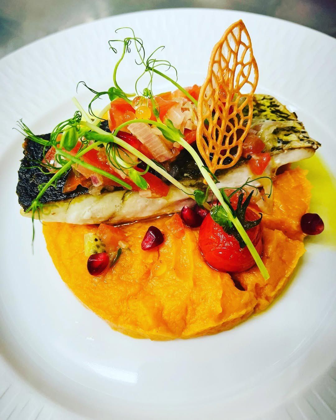 Filet de bar sur purée de courge, tomates et grenade